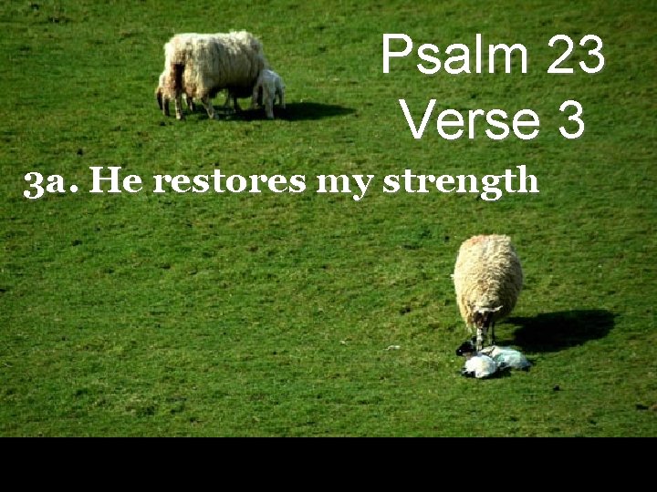 Psalm 23 Verse 3 3 a. He restores my strength 