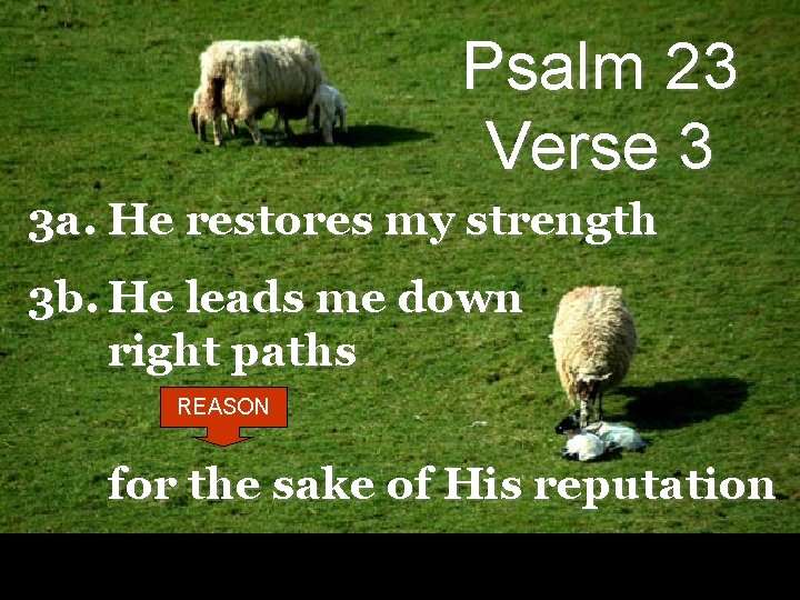 Psalm 23 Verse 3 3 a. He restores my strength 3 b. He leads