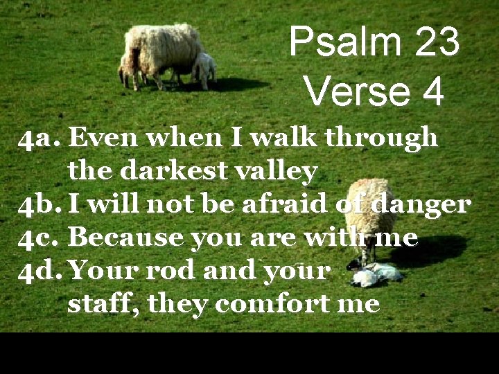 Psalm 23 Verse 4 4 a. Even when I walk through the darkest valley