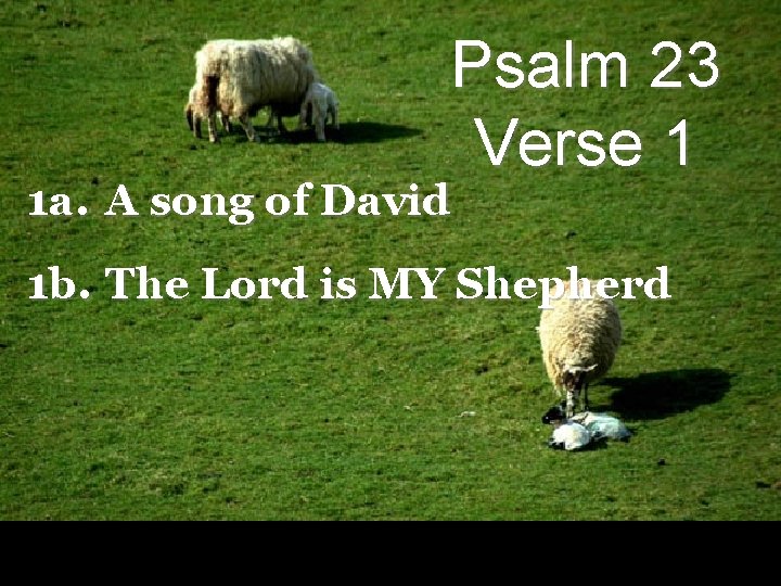 Psalm 23 Verse 1 1 a. A song of David 1 b. The Lord