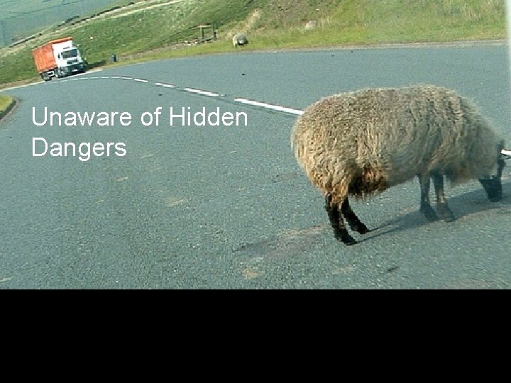 Unaware of Hidden Dangers 