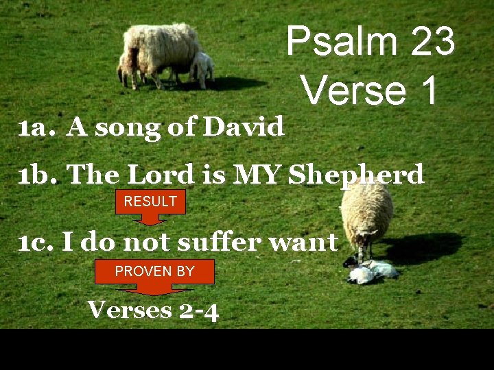 Psalm 23 Verse 1 1 a. A song of David 1 b. The Lord