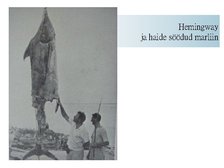 Hemingway ja haide söödud marliin 