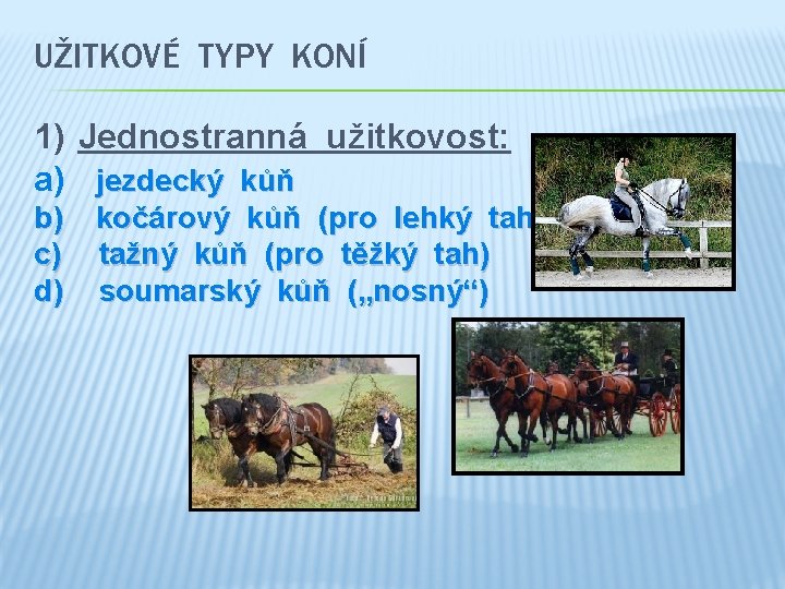 UŽITKOVÉ TYPY KONÍ 1) Jednostranná užitkovost: a) jezdecký kůň b) kočárový kůň (pro lehký