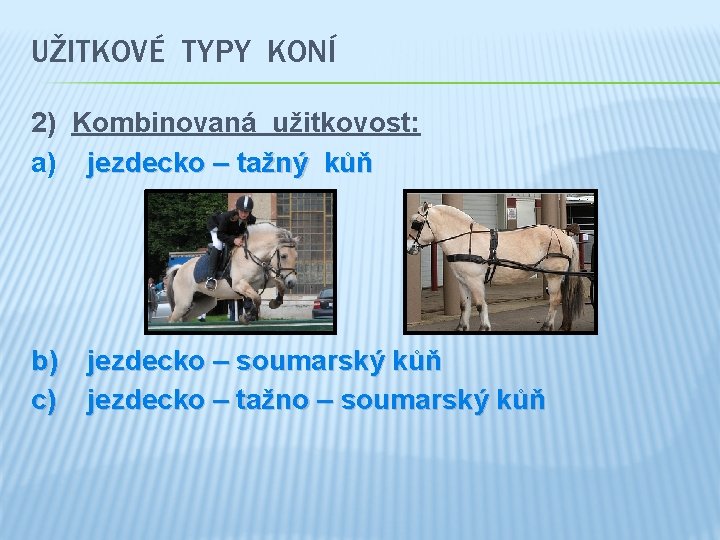 UŽITKOVÉ TYPY KONÍ 2) Kombinovaná užitkovost: a) jezdecko – tažný kůň b) jezdecko –