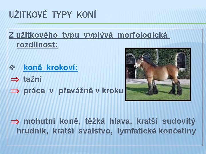 UŽITKOVÉ TYPY KONÍ Z užitkového typu vyplývá morfologická rozdílnost: v koně krokoví: tažní práce