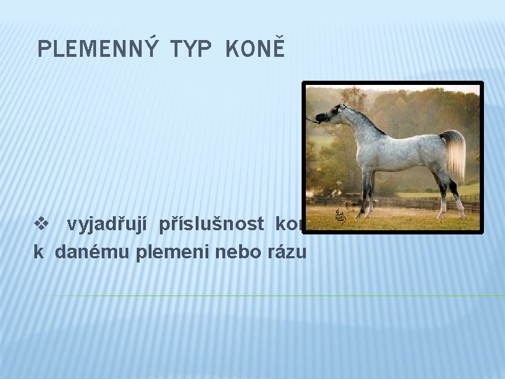 PLEMENNÝ TYP KONĚ v vyjadřují příslušnost koně k danému plemeni nebo rázu 