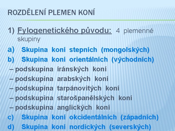 ROZDĚLENÍ PLEMEN KONÍ 1) Fylogenetického původu: 4 plemenné skupiny a) Skupina koní stepních (mongolských)