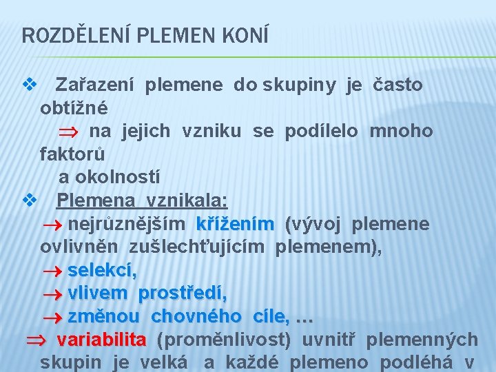 ROZDĚLENÍ PLEMEN KONÍ v Zařazení plemene do skupiny je často obtížné na jejich vzniku