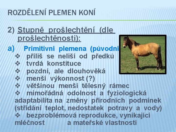 ROZDĚLENÍ PLEMEN KONÍ 2) Stupně prošlechtění (dle prošlechtěnosti): a) Primitivní plemena (původní) v příliš