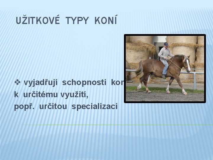 UŽITKOVÉ TYPY KONÍ v vyjadřují schopnosti koně k určitému využití, popř. určitou specializaci 