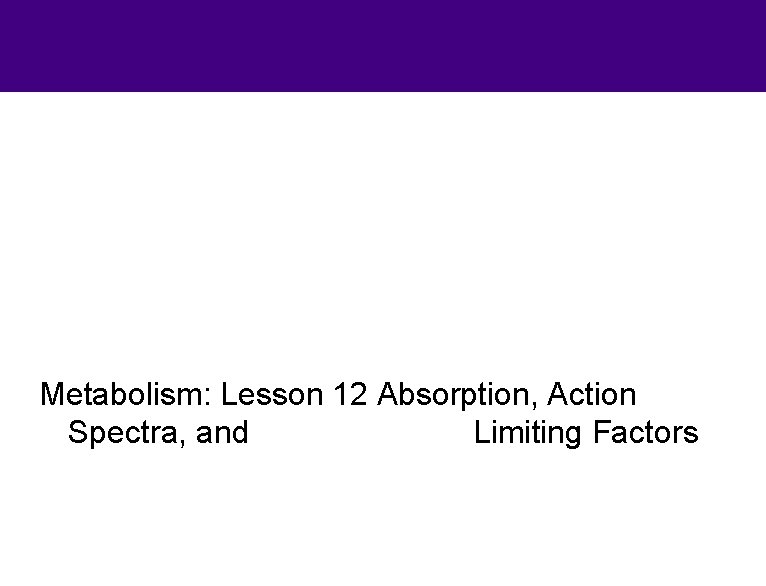Metabolism: Lesson 12 Absorption, Action Spectra, and Limiting Factors 