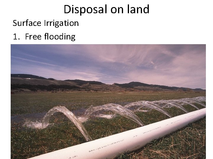 Disposal on land Surface Irrigation 1. Free flooding 