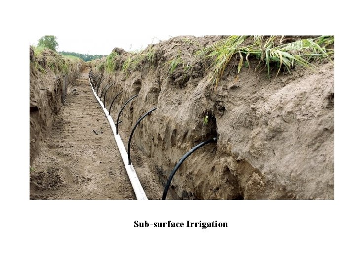 Sub-surface Irrigation 