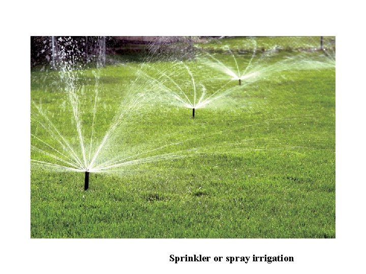 Sprinkler or spray irrigation 