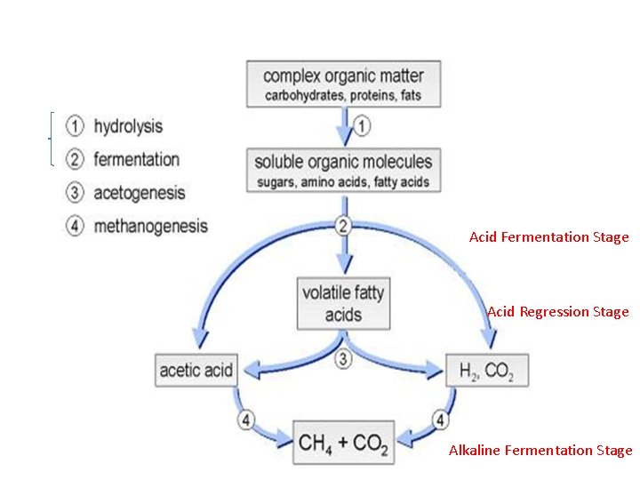 Acid Fermentation Stage Acid Regression Stage Alkaline Fermentation Stage 