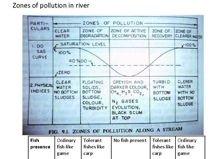 Zones of pollution in river Fish presence Ordinary fish like game Tolerant fishes like