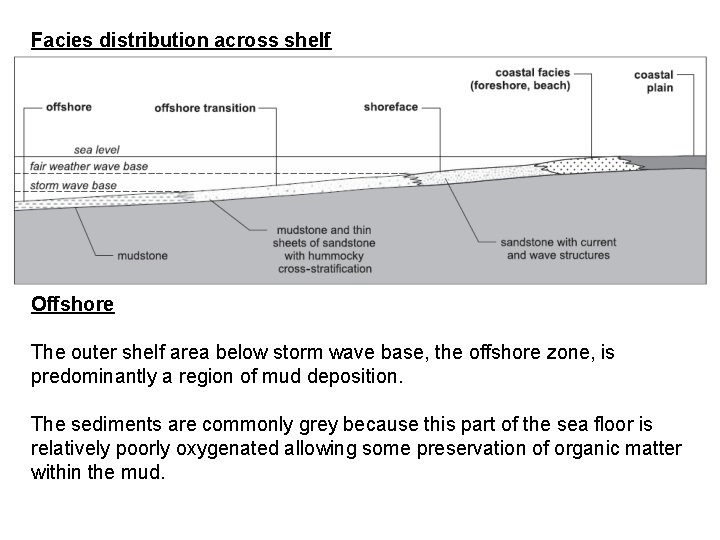 Facies distribution across shelf Offshore The outer shelf area below storm wave base, the