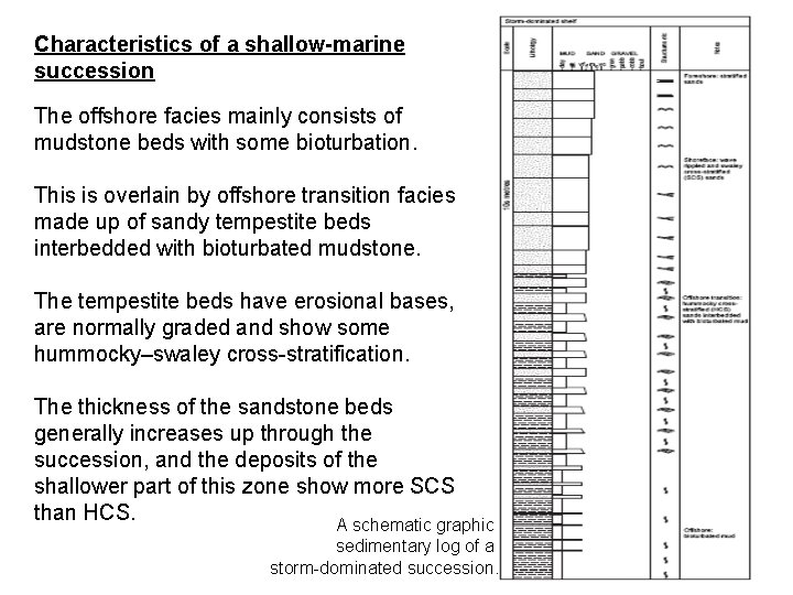 Characteristics of a shallow-marine succession The offshore facies mainly consists of mudstone beds with