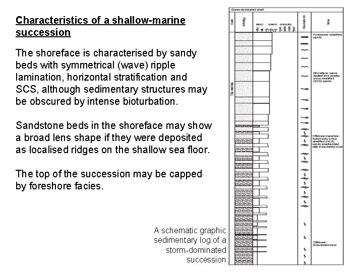 Characteristics of a shallow-marine succession The shoreface is characterised by sandy beds with symmetrical