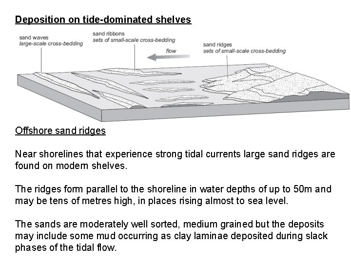 Deposition on tide-dominated shelves Offshore sand ridges Near shorelines that experience strong tidal currents