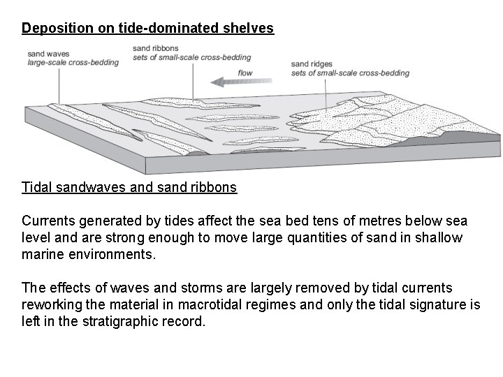 Deposition on tide-dominated shelves Tidal sandwaves and sand ribbons Currents generated by tides affect