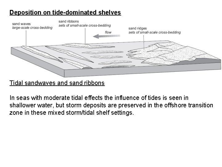 Deposition on tide-dominated shelves Tidal sandwaves and sand ribbons In seas with moderate tidal