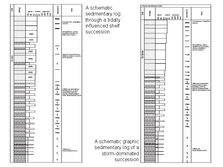 A schematic sedimentary log through a tidally influenced shelf succession. A schematic graphic sedimentary