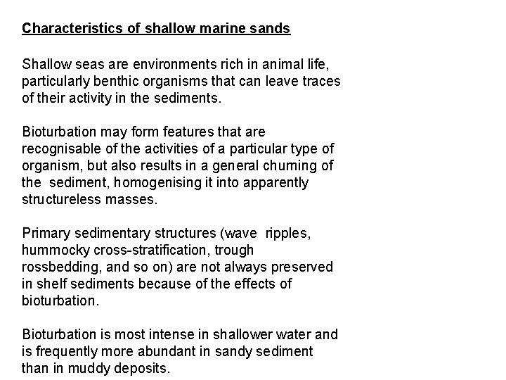 Characteristics of shallow marine sands Shallow seas are environments rich in animal life, particularly