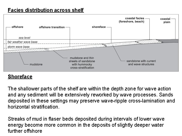 Facies distribution across shelf Shoreface The shallower parts of the shelf are within the