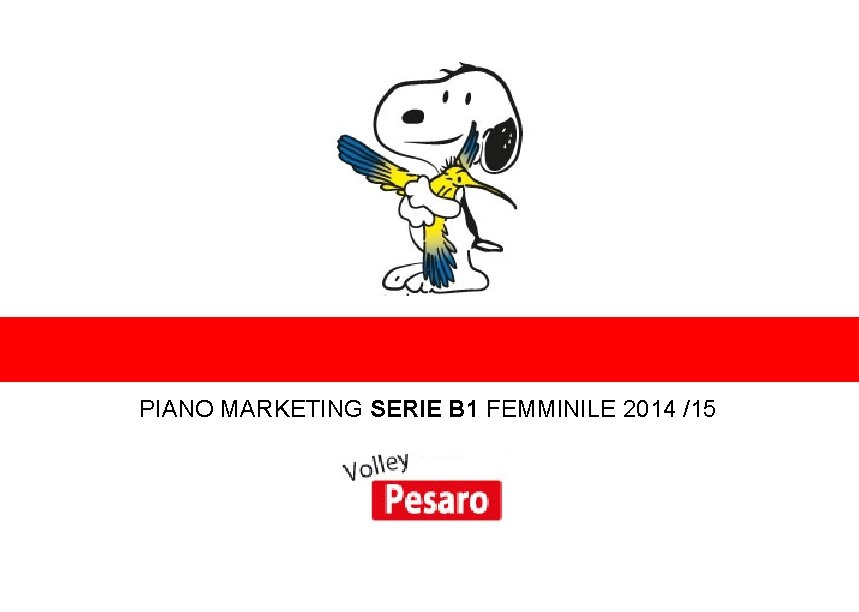 ENTRA NEL MONDO DEL VOLLEY PIANO MARKETING SERIE B 1 FEMMINILE 2014 /15 