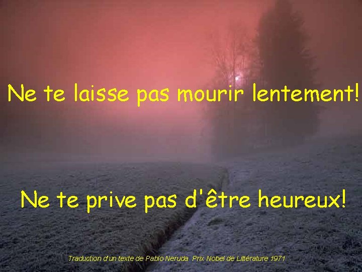 Ne te laisse pas mourir lentement! Ne te prive pas d'être heureux! Traduction d’un