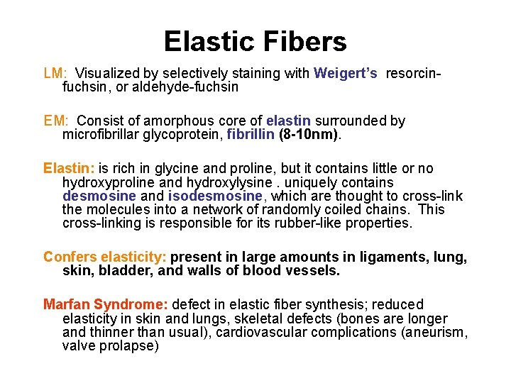 Elastic Fibers LM: Visualized by selectively staining with Weigert’s, resorcinfuchsin, or aldehyde-fuchsin EM: Consist