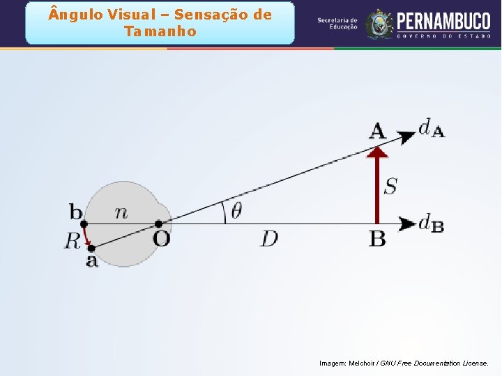  ngulo Visual – Sensação de Tamanho Imagem: Melchoir / GNU Free Documentation License.