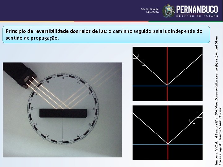 Imagens: (a) Zátonyi Sándor (ifj. ) / GNU Free Documentation License; (b) e (c)