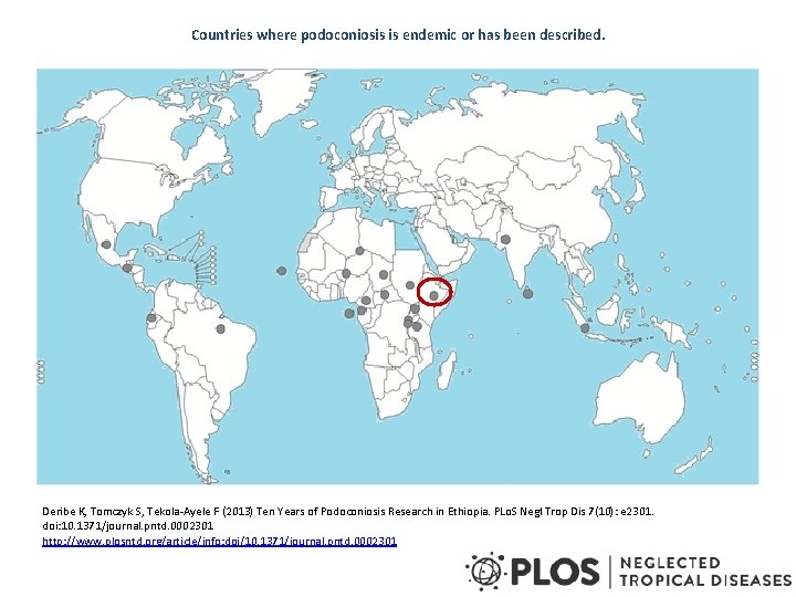 Countries where podoconiosis is endemic or has been described. Deribe K, Tomczyk S, Tekola-Ayele