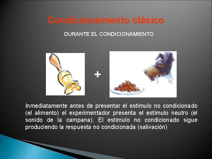 Condicionamiento clásico DURANTE EL CONDICIONAMIENTO + Inmediatamente antes de presentar el estímulo no condicionado Condicionamiento clásico DURANTE EL CONDICIONAMIENTO + Inmediatamente antes de presentar el estímulo no condicionado