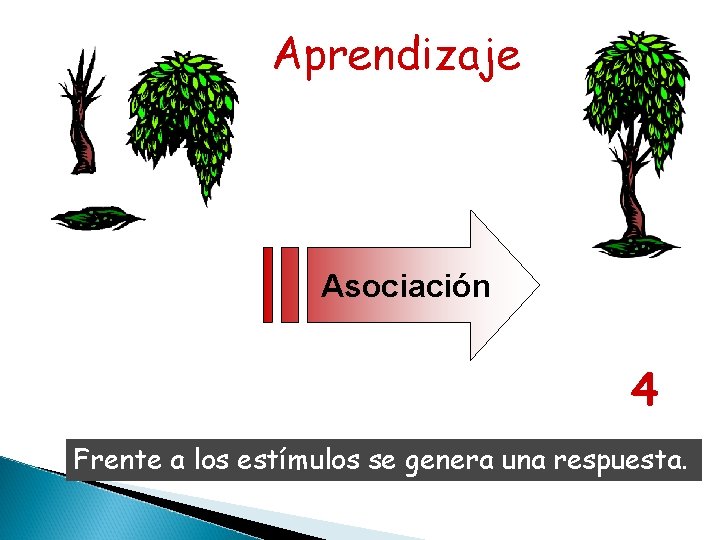 Aprendizaje Asociación 2+2 = 4 Frente a los estímulos se genera una respuesta. Aprendizaje Asociación 2+2 = 4 Frente a los estímulos se genera una respuesta.