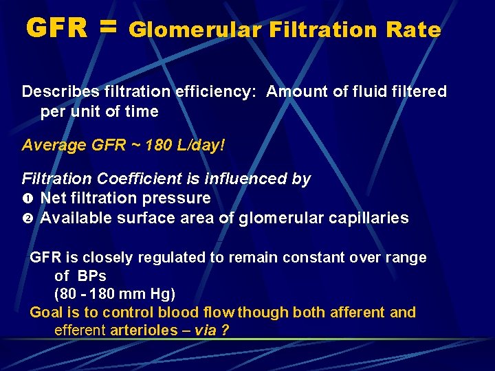 GFR = Glomerular Filtration Rate Describes filtration efficiency: Amount of fluid filtered per unit