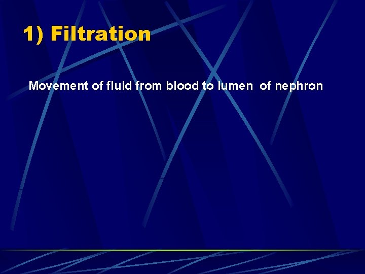 1) Filtration Movement of fluid from blood to lumen of nephron 