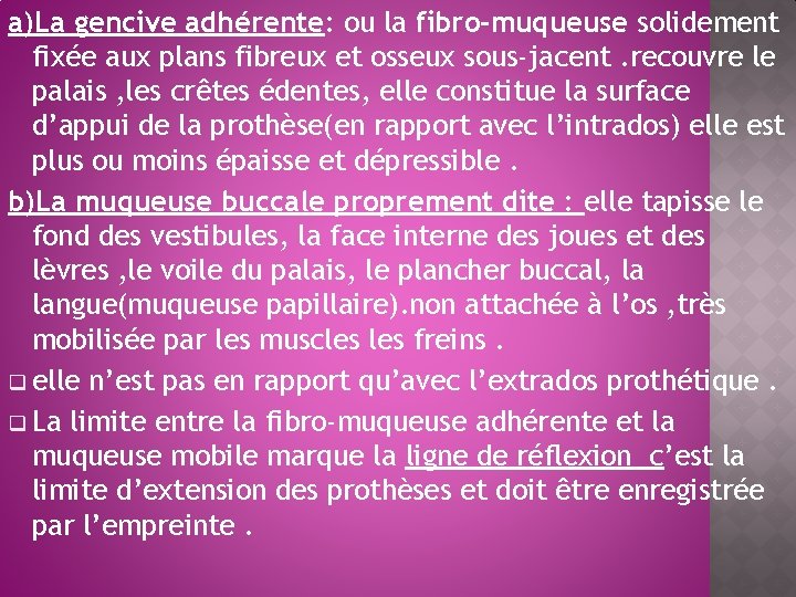 a)La gencive adhérente: ou la fibro-muqueuse solidement fixée aux plans fibreux et osseux sous-jacent.