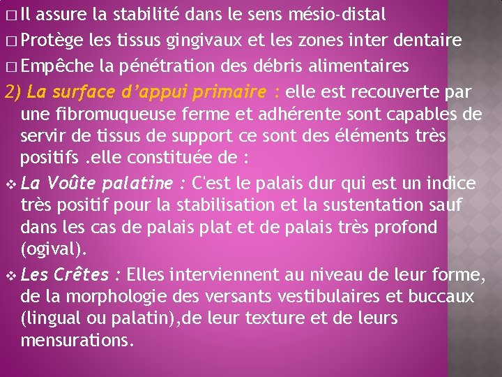 � Il assure la stabilité dans le sens mésio-distal � Protège les tissus gingivaux