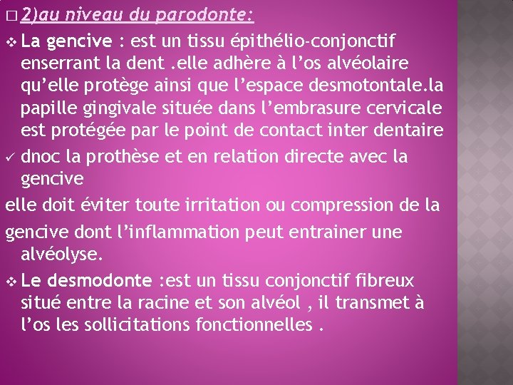 � 2)au niveau du parodonte: v La gencive : est un tissu épithélio-conjonctif enserrant