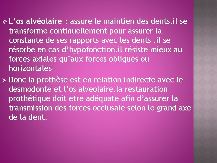 v L’os alvéolaire : assure le maintien des dents. il se transforme continuellement pour