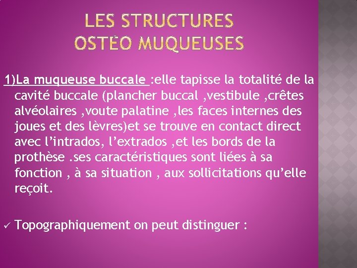 1)La muqueuse buccale : elle tapisse la totalité de la cavité buccale (plancher buccal