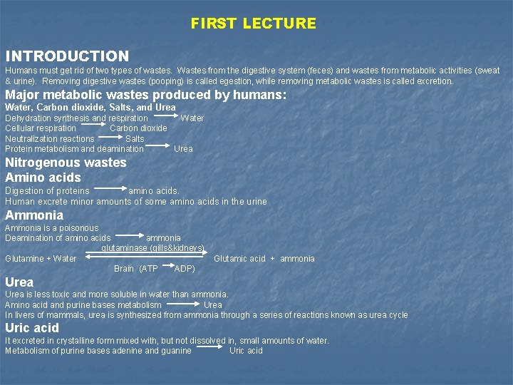 FIRST LECTURE INTRODUCTION Humans must get rid of two types of wastes. Wastes from