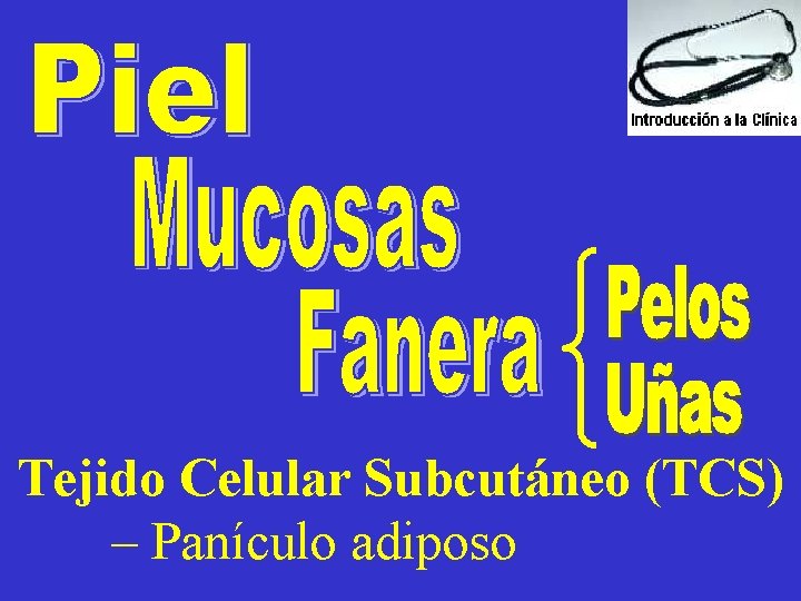 Tejido Celular Subcutáneo (TCS) – Panículo adiposo 