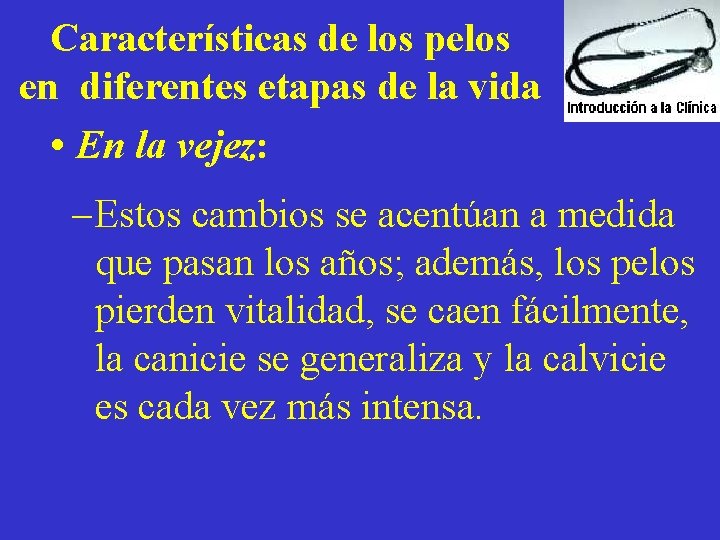 Características de los pelos en diferentes etapas de la vida • En la vejez: