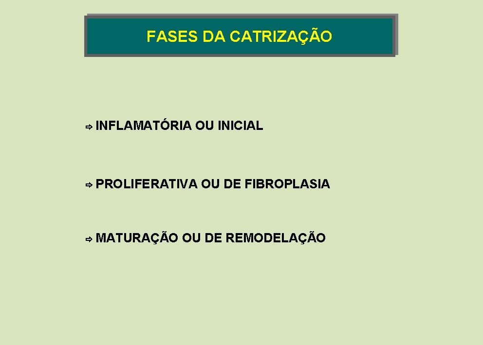 FASES DA CATRIZAÇÃO INFLAMATÓRIA OU INICIAL PROLIFERATIVA MATURAÇÃO OU DE FIBROPLASIA OU DE REMODELAÇÃO FASES DA CATRIZAÇÃO INFLAMATÓRIA OU INICIAL PROLIFERATIVA MATURAÇÃO OU DE FIBROPLASIA OU DE REMODELAÇÃO