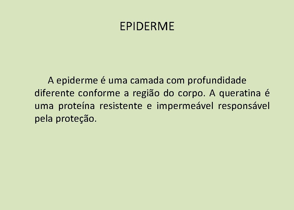 EPIDERME A epiderme é uma camada com profundidade diferente conforme a região do corpo. EPIDERME A epiderme é uma camada com profundidade diferente conforme a região do corpo.